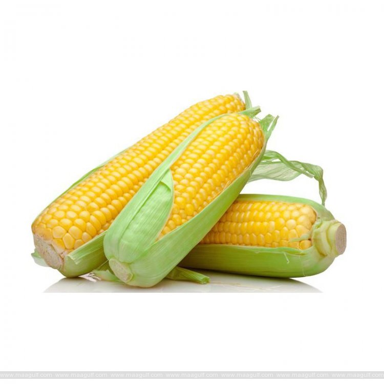 షుగర్‌ని కంట్రోల్‌ చేసే మొక్కజొన్న