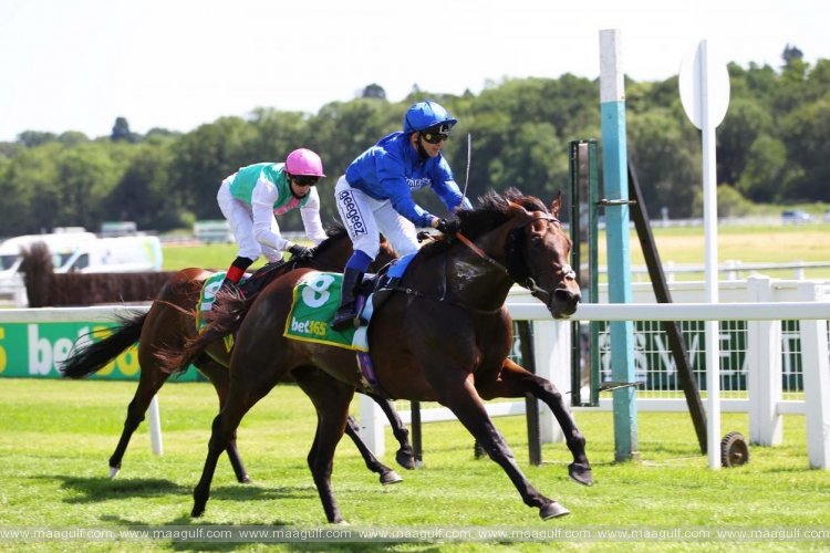 53 Emirati horses to compete in Dubai World Cup 2022