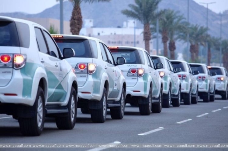 సౌదీ అరేబియా: 2021లో 546,000 వాహనాలు దిగుమతి