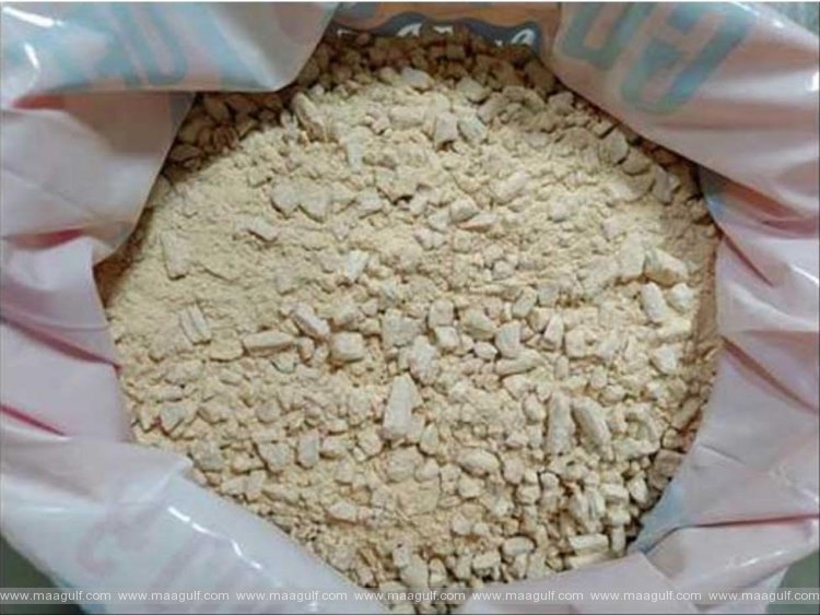 శంషాబాద్ ఎయిర్ పోర్ట్ లో భారీగా కొకైన్ పట్టివేత..