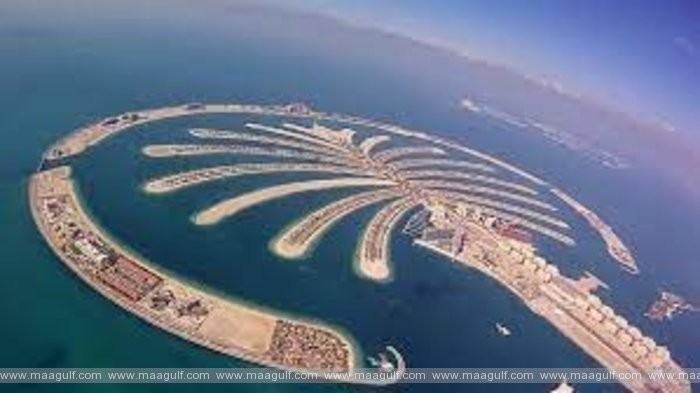 నిరుద్యోగులకు ఇన్స్యూరెన్స్ పథకం: ఎమిరాతీలకు, వలసదారులకు వర్తిస్తుందా?