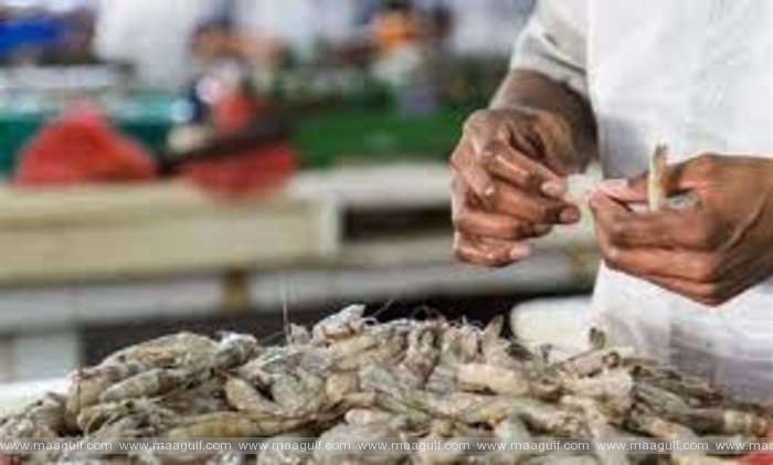 ఇద్దరు ఉల్లంఘనుల అరెస్ట్: 90 కిలోల రొయ్యలు స్వాధీనం