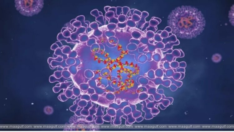 ఒమన్‌లో మంకీ పాక్స్ లేదు: మినిస్ట్రీ ఆఫ్ హెల్త్