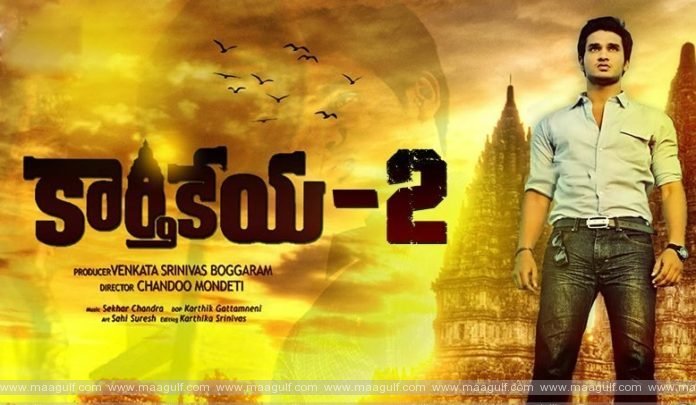 యంగ్ హీరో రిస్క్ ఫలిస్తుందా.?