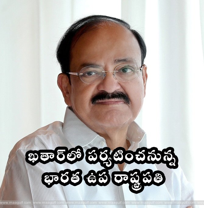 జూన్‌లో ఖతార్‌లో పర్యటించనున్న భారత ఉప రాష్ట్రపతి