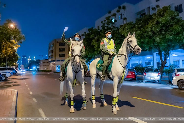 Dubai Mounted Police Officers Uncover Theft Gang