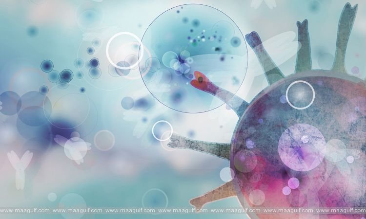 తెలంగాణ కరోనా అప్డేట్