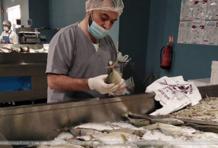 ఉమ్ సలాల్ మార్కెట్‌లో 1,000 కిలోల చేపలు ధ్వంసం