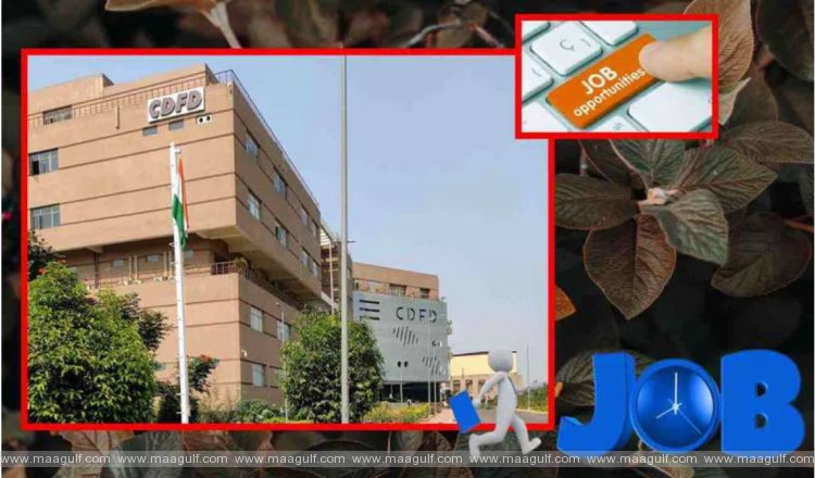 CDFD లో ఉద్యోగాలు...
