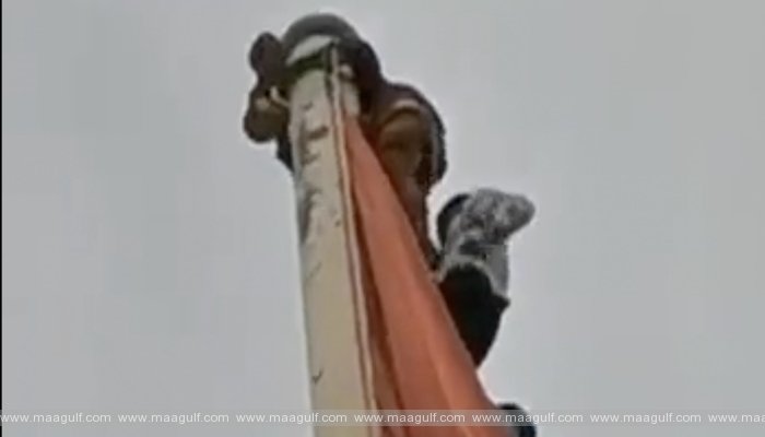 స్తంభాన్ని ఎక్కిన ముగ్గురూ అరెస్ట్