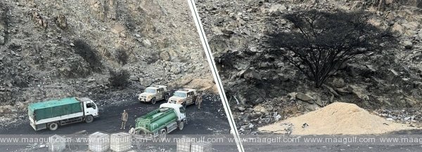 పర్యావరణ కాలుష్యానికి పాల్పడ్డ ఇద్దరు సూడానీస్‌లు అరెస్టు