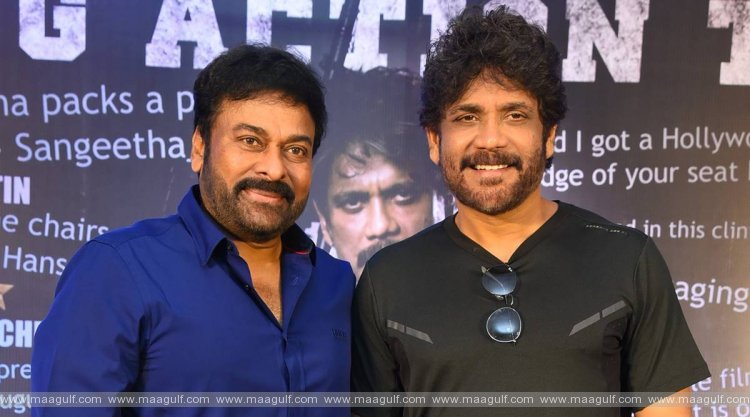 మెగా-కింగ్ వార్: దసరా బరిలో తలపడనున్న ఇద్దరు స్టార్ హీరోలు