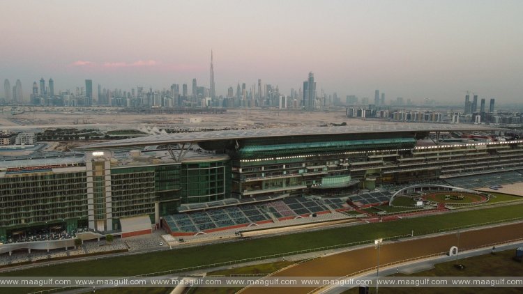 The Dubai World Cup 2023 Horse Race Will Take Place On March 25th