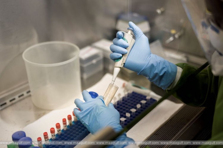 తెలంగాణ కరోనా అప్డేట్