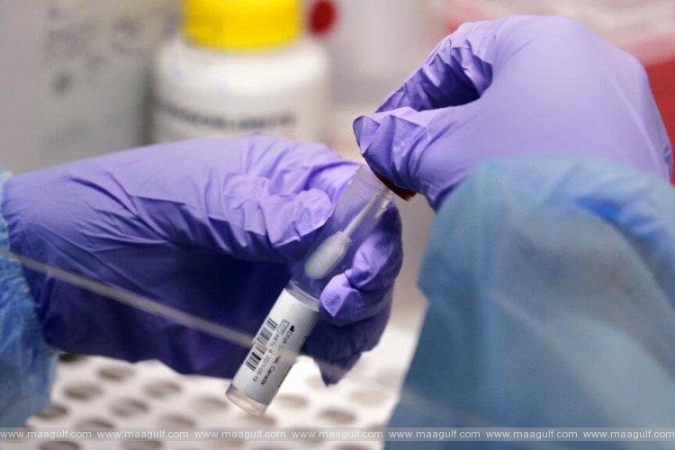 తెలంగాణ కరోనా అప్డేట్