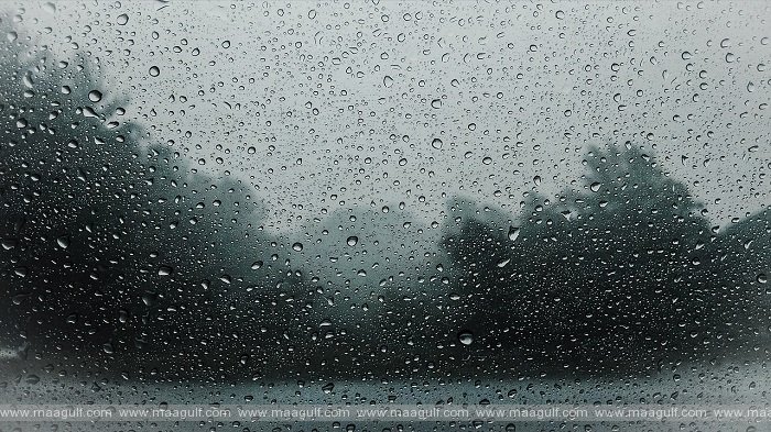 Heavy rains expected in these governorates