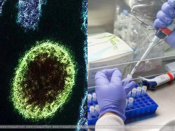 చైనాను వణికిస్తున్న కొత్త రకం వైరస్..