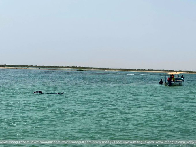 అల్ సవాడి బీచ్‌లో ఒకే కుటుంబానికి చెందిన ముగ్గురు మృతి