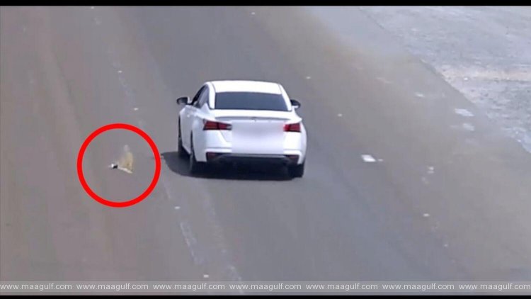 డ్రైవింగ్‌లో వ్యర్థాల పారబోత.. 1,000 దిర్హామ్ జరిమానా, 6 బ్లాక్ పాయింట్లు