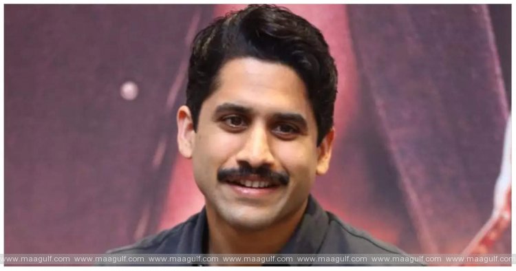 అక్కినేని హీరోలకు బాలీవుడ్‌లో పెద్ద ఝలక్కే తగిలిందిగా.!