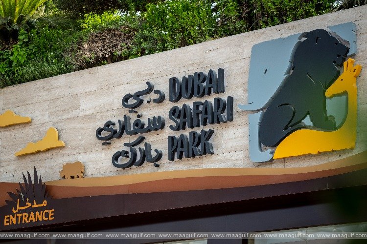 Dubai Safari Park to open doors for a new season on 27 September