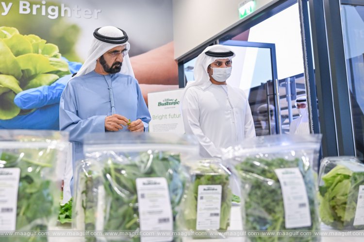 Sheikh Mohammed tours world’s largest vertical hydroponic farm in Dubai