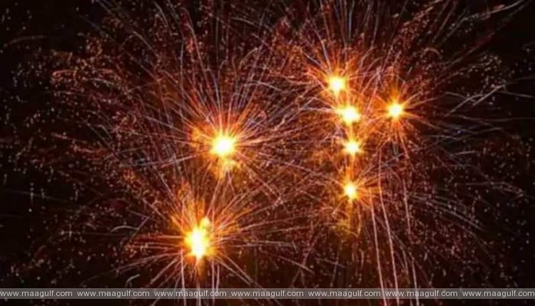 ఢిల్లీలో బాణసంచా బ్యాన్..