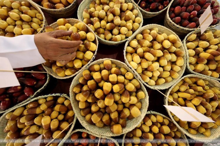 Liwa Dates Festival to begin on 15th October