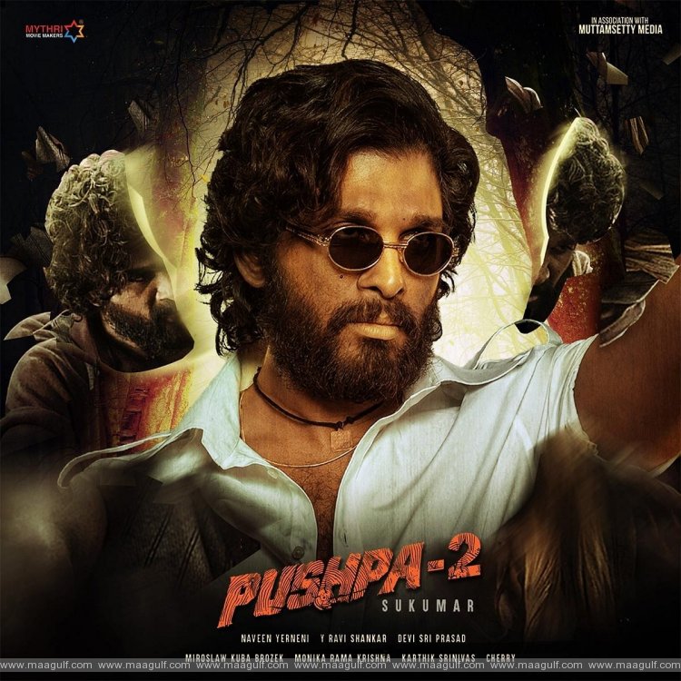 ‘పుష్ప’పై ఏంటి భయ్యా ఈ నెగిటివిటీ.! ‘పుష్ప 2’పై ఇంపాక్ట్ పడదా.?