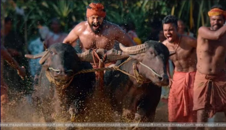 9 ‘కాంతారా’ మేనియా తగ్గేదే లే.! ఆలోచనలు మారిపోతున్నాయ్ బాస్.!