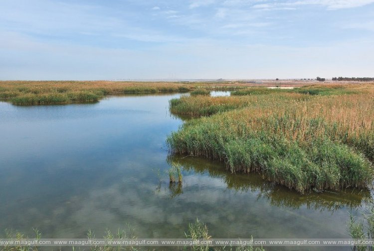 నవంబర్ 4 నుండి తెరుచుకోనున్న జహ్రా నేచర్ రిజర్వ్