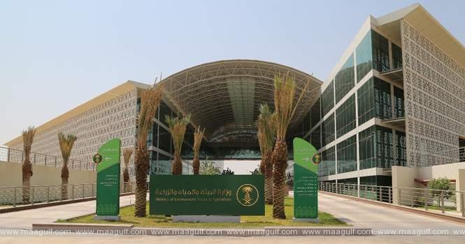 ఆహార పరిశ్రమలో 85శాతం లోకలైజేషన్: సౌదీ