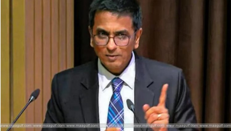 ఇక నుంచి నిత్యం బెయిల్‌, బదిలీ పిటిషన్లు విచారించాలి: సీజేఐ