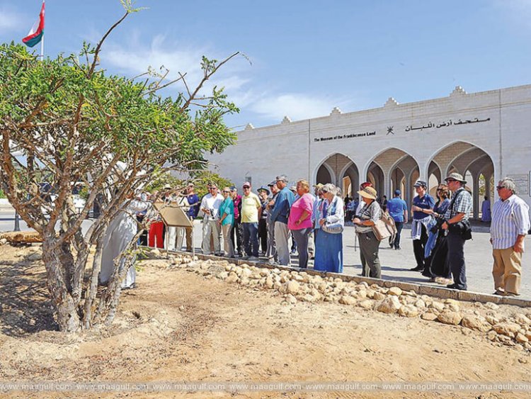 ధోఫర్‌లో నవంబర్ 28 నుండి సుగంధ ద్రవ్యాల సీజన్ ప్రారంభం