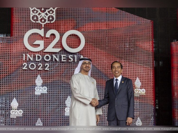 UAE President participates in G20 Summit in Indonesia