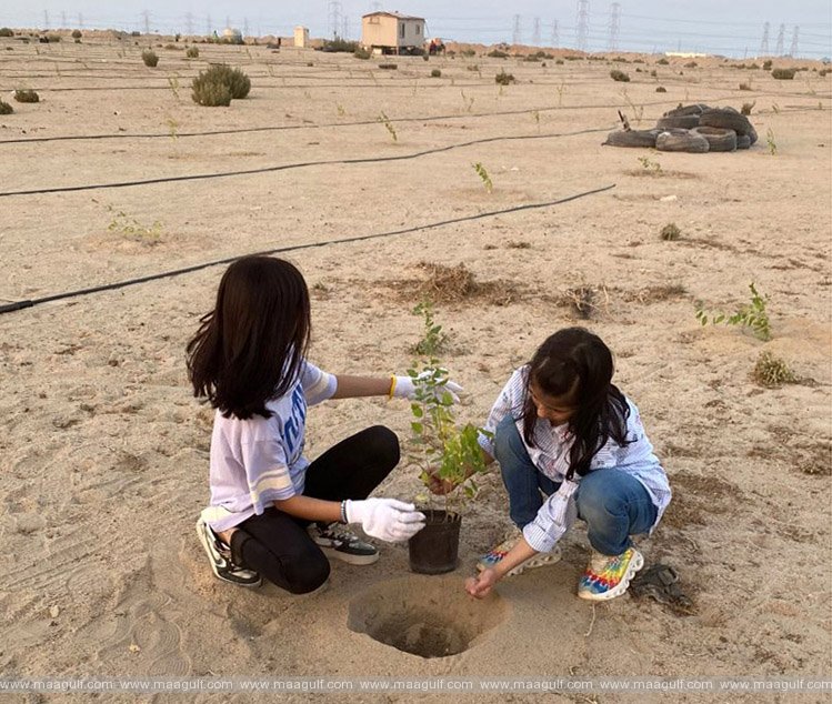 2023 నాటికి కువైట్‌లో 10,000 సిదర్ చెట్ల ప్లాంటేషన్