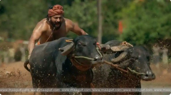 OTTలో కాంతార సందడి