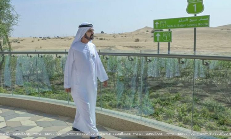 దుబాయ్ ఎడారి రిజర్వ్ లో కొత్తగా 100 కి.మీ ట్రెక్కింగ్ మార్గం