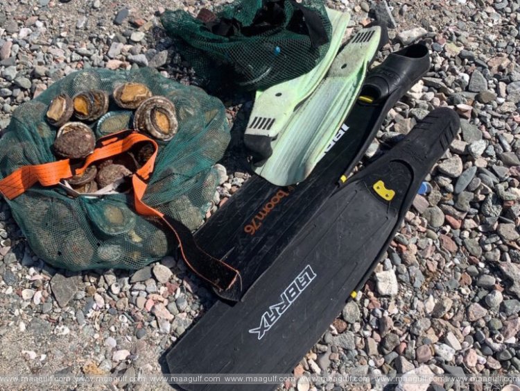 1 ధోఫర్లో ఫిషింగ్ నిబంధనల ఉల్లంఘన.. ఆరుగురు అరెస్ట్