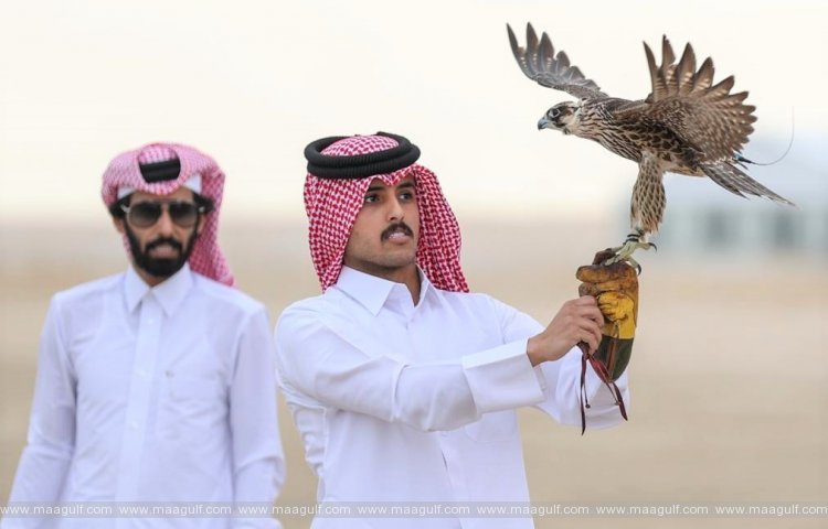 మార్మి 2023 ఫెస్టివల్‌లో అర్హత సాధించిన 22 ఫాల్కనర్‌లు