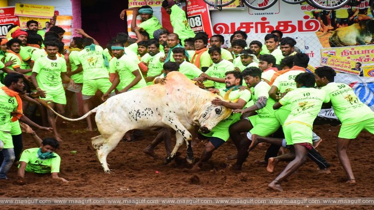 1 జల్లికట్టు పోటీలకు తమిళనాడు ప్రభుత్వం అనుమతి..