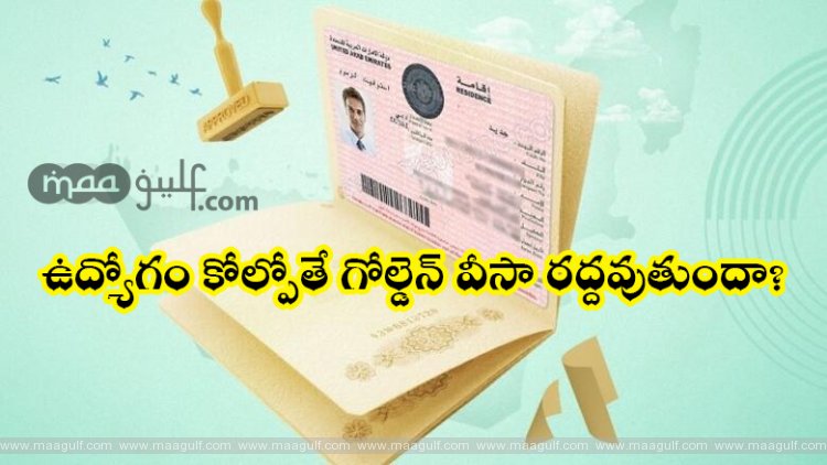 1 ఉద్యోగం కోల్పోతే గోల్డెన్ వీసా రద్దవుతుందా?