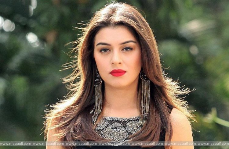 భర్త విడాకులు: హన్సిక ఇలా ఇరికేసిందేంటీ.?