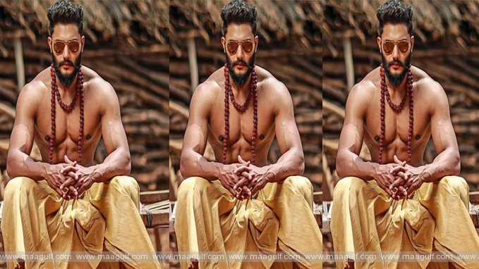 విలన్‌గా మారిన చాక్లెట్ బాయ్.! ఎంత పని చేశావయ్యా బోయపాటీ.!
