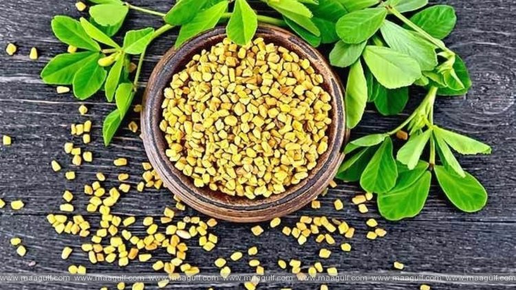 11 మెంతులతో సౌందర్యం.! ఇది విన్నారా.?