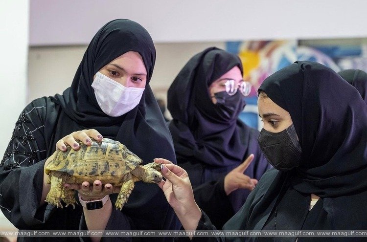 DFWAC concludes successful participation in UAE Innovation Month 2023