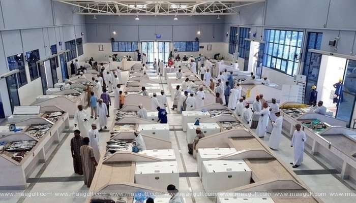 1 ఒమన్ లో తగ్గిన చేపల వినియోగం!