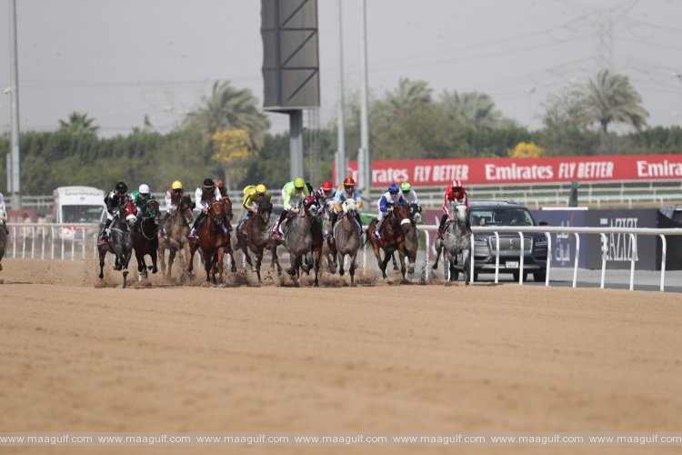 Dubai gallops to pole position in the big league of horse racing destinations