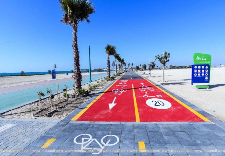 Shared e-scooter trips clock 1 million in 2022: RTA