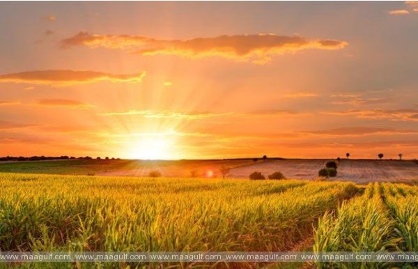 1 మరింత పెరగనున్న ఎండల తీవ్రత..